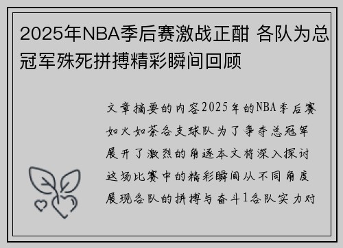 2025年NBA季后赛激战正酣 各队为总冠军殊死拼搏精彩瞬间回顾