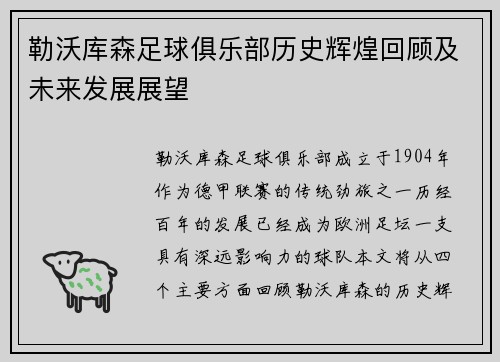 勒沃库森足球俱乐部历史辉煌回顾及未来发展展望