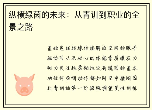 纵横绿茵的未来：从青训到职业的全景之路