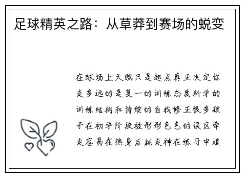 足球精英之路：从草莽到赛场的蜕变
